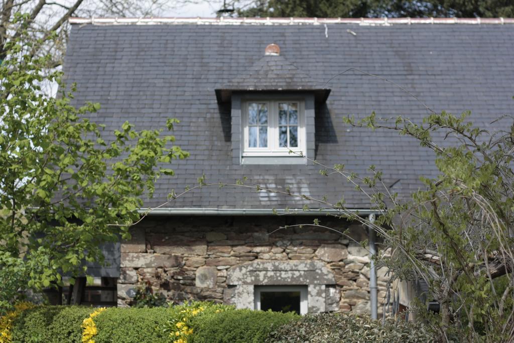 L'herbe des nuits... Pleyben Extérieur photo